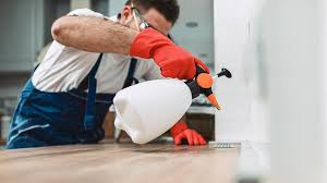 Best Real Estate Pest Inspections  in Santa Venetia, CA